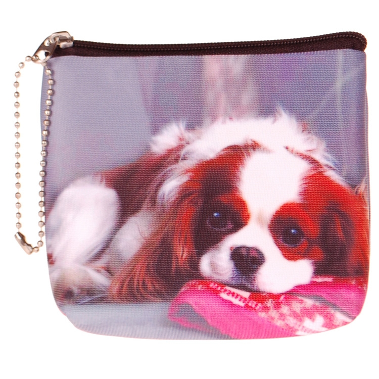 Kleine portemonnee Cavelier King Charles spaniel